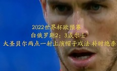 爱游戏网页版登录入口-关于威尔士客场大胜白俄罗斯，稳定排名的信息